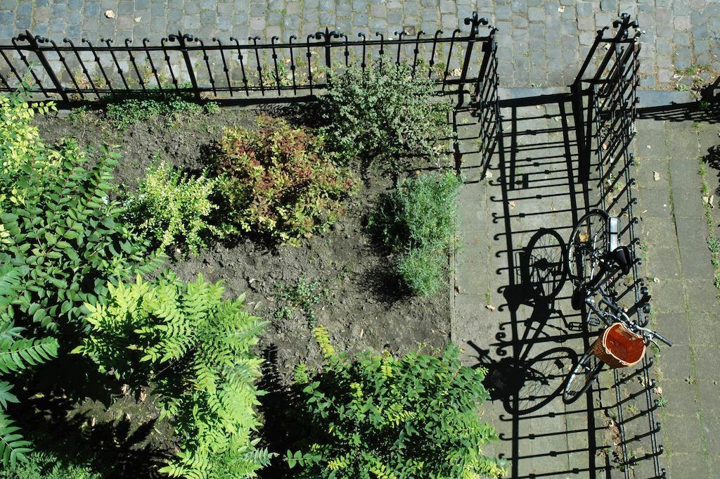 Des Roses Voltaire Bed & Breakfast