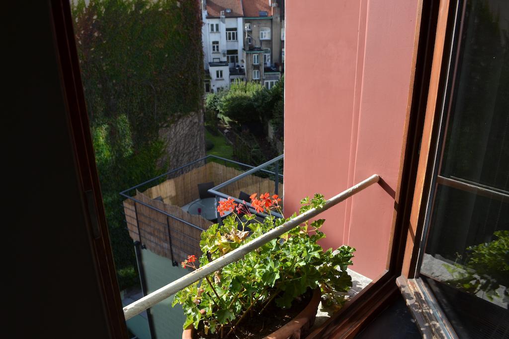 Des Roses Voltaire Brussels